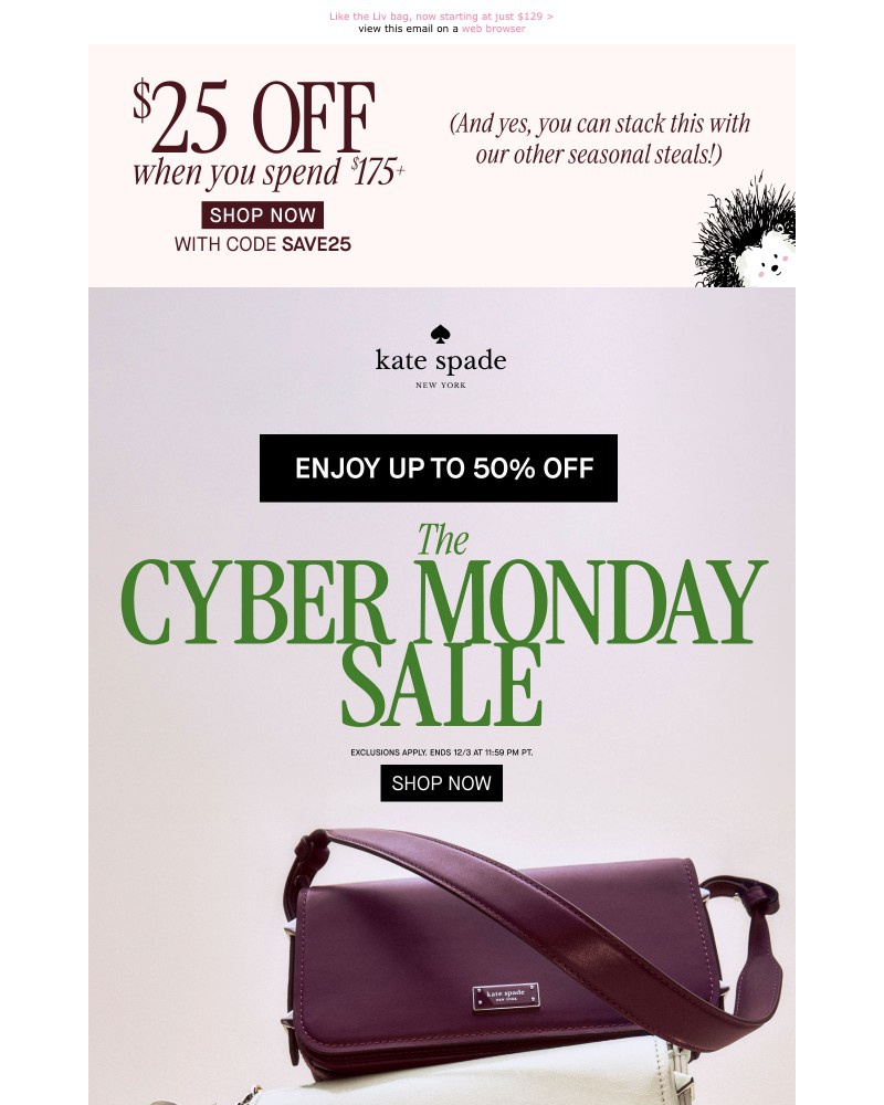 Screenshot of email with subject /media/emails/the-best-steals-of-the-season-end-soon-d6b38b-cropped-b1ea038b.jpg