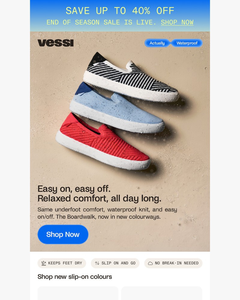 Screenshot of email with subject /media/emails/the-best-summer-shoe-23f73a-cropped-808e716b.jpg