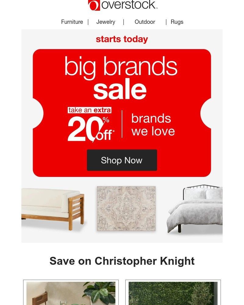 Screenshot of email with subject /media/emails/the-big-brands-sale-starts-today-15c845-cropped-203dfe59.jpg