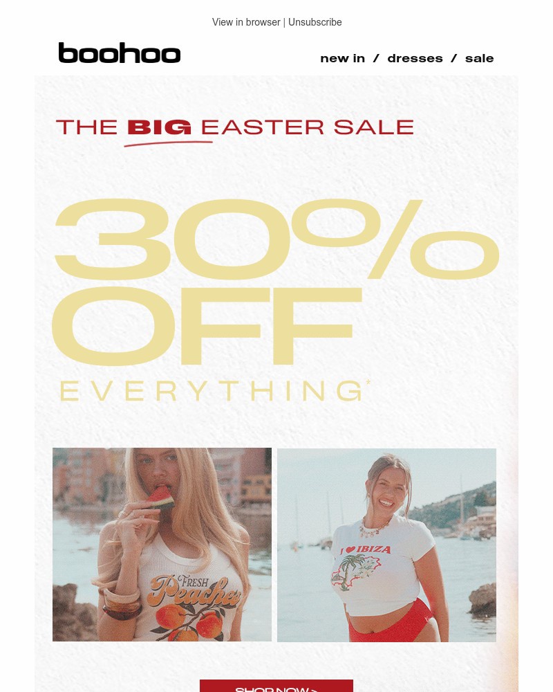 Screenshot of email with subject /media/emails/the-big-easter-sale-has-landed-a84a73-cropped-de3df8c7.jpg