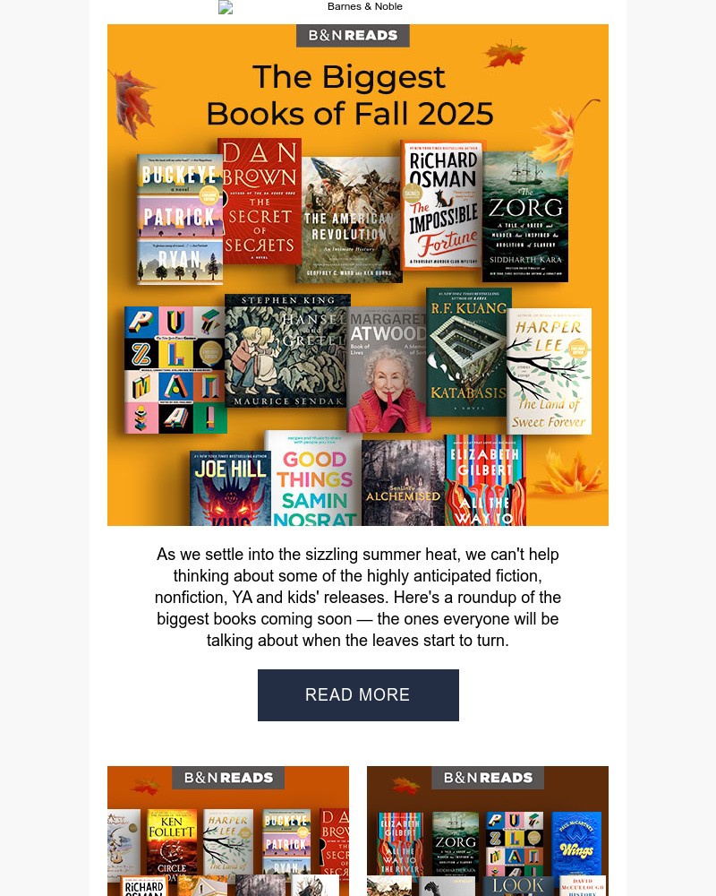 Screenshot of email with subject /media/emails/the-biggest-books-this-fall-57f8ac-cropped-e1414674.jpg