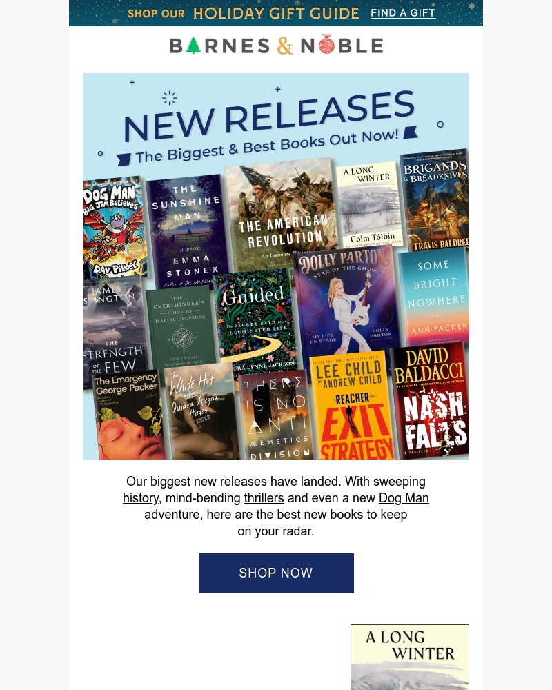 Screenshot of email with subject /media/emails/the-biggest-new-books-8d9f90-cropped-06c1126a.jpg