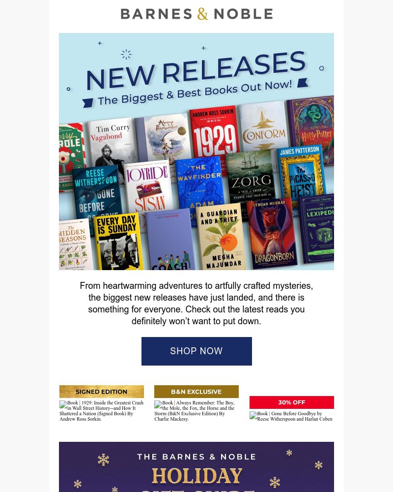 Screenshot of email with subject /media/emails/the-biggest-new-books-dc8ea2-cropped-86d8fedf.jpg