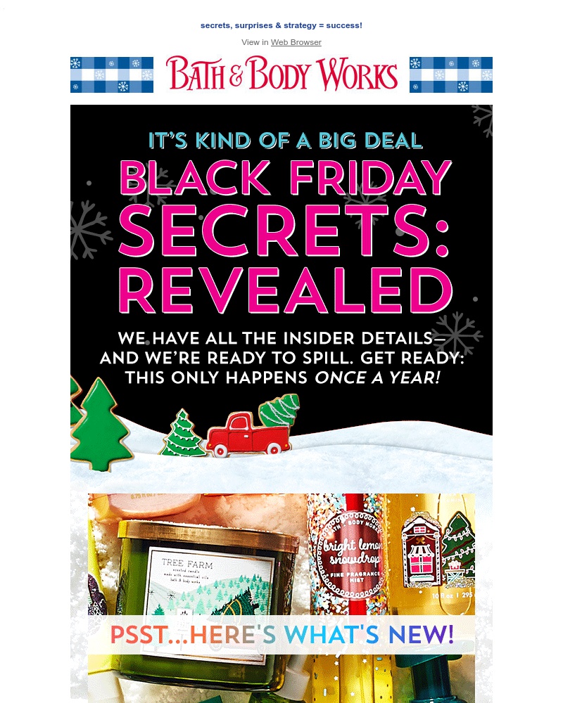 Screenshot of email with subject /media/emails/the-black-friday-guide-cropped-30e3ad52.jpg