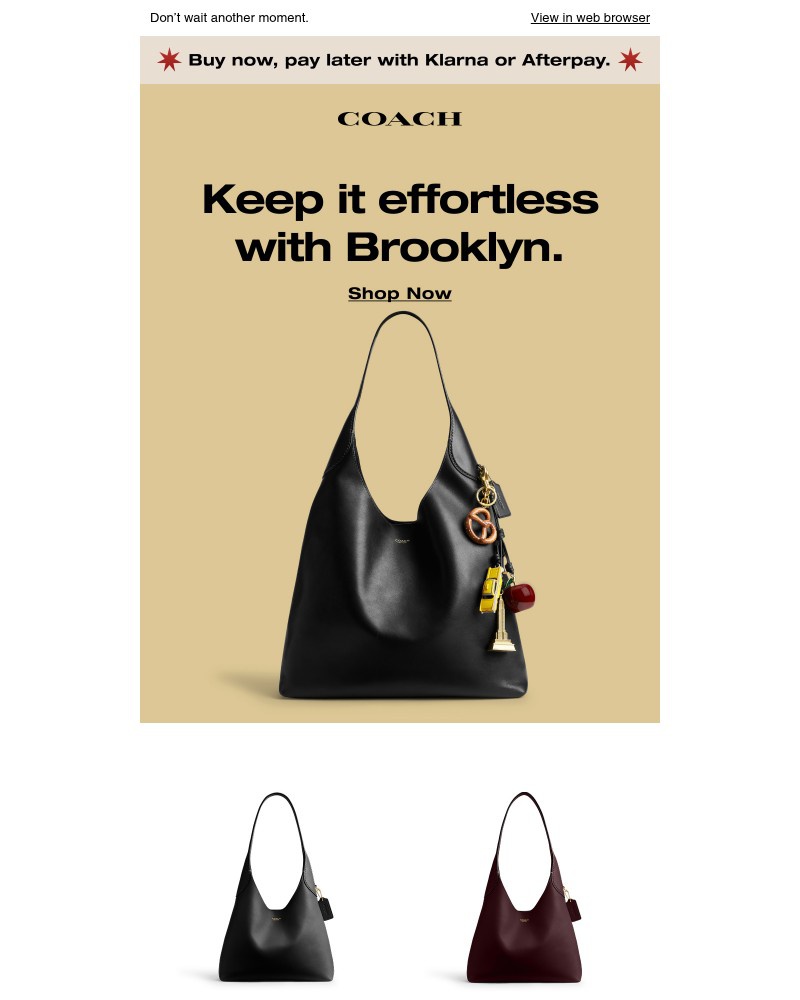 Screenshot of email with subject /media/emails/the-black-friday-sale-ends-tomorrow-df7336-cropped-b094de2d.jpg