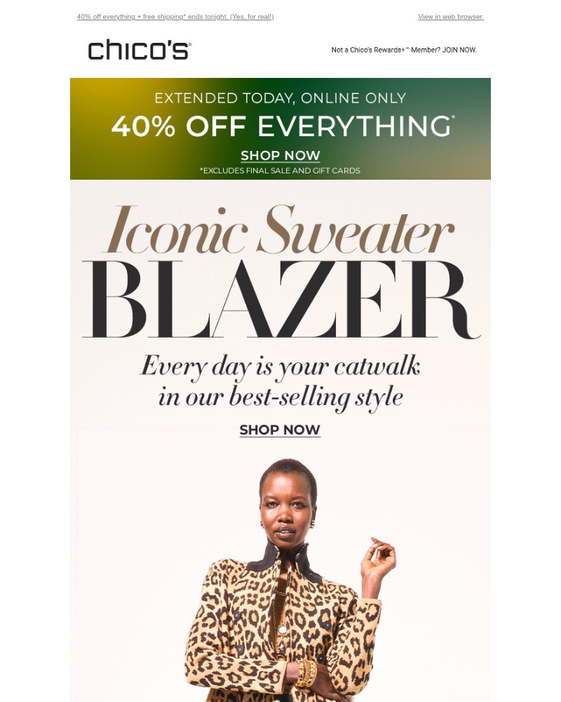 Screenshot of email with subject /media/emails/the-blazer-that-feels-like-a-hug-a7f694-cropped-e8b85737.jpg