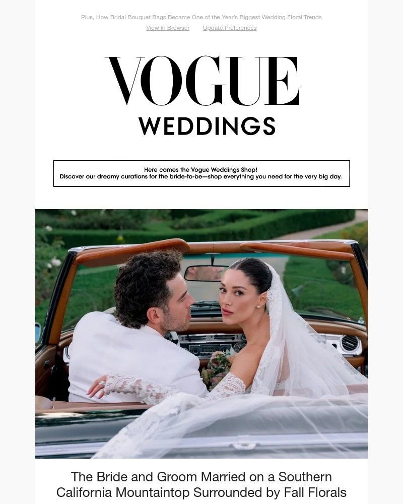 Screenshot of email with subject /media/emails/the-bride-and-groom-married-on-a-southern-california-mountaintop-surrounded-by-fa_XfIvYYZ.jpg