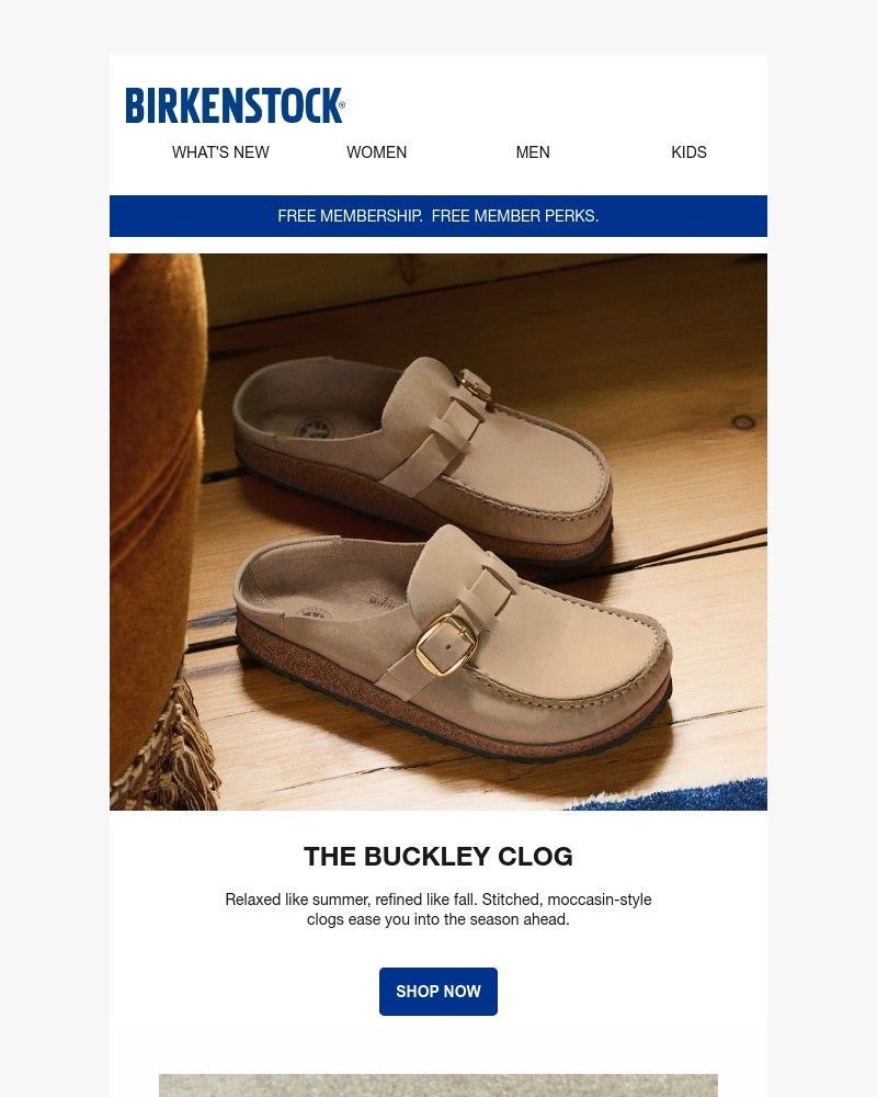 Screenshot of email with subject /media/emails/the-buckley-clog-for-between-seasons-af5d38-cropped-faa01aac.jpg