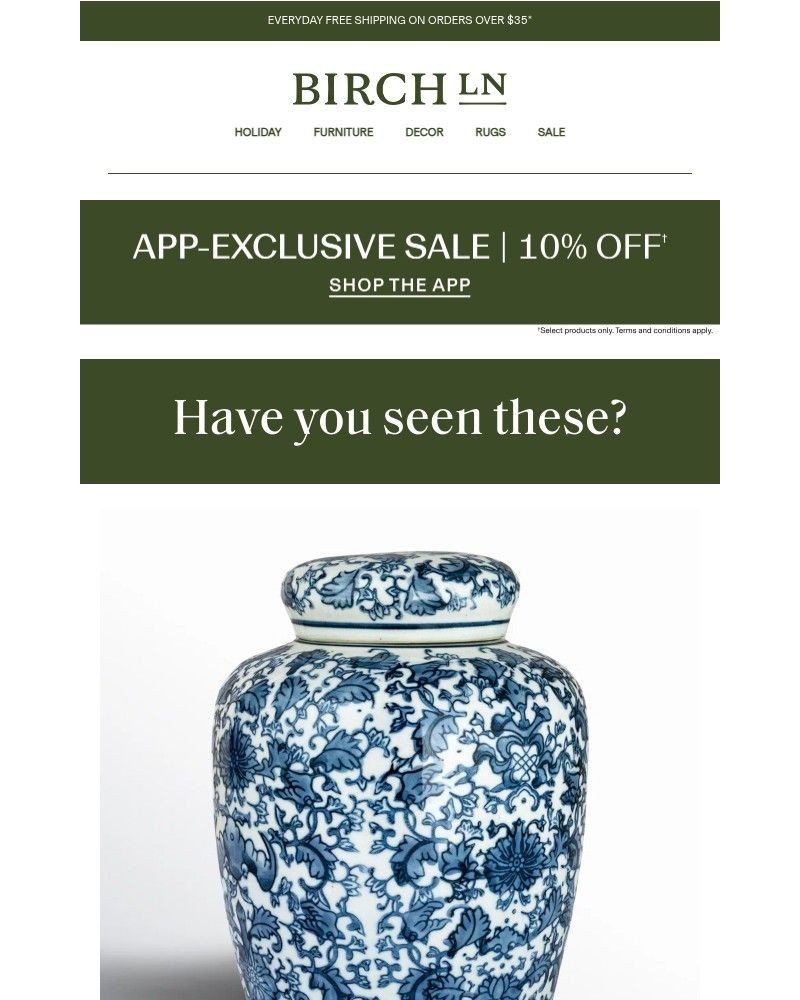 Screenshot of email with subject /media/emails/the-chadwicks-vase-shop-it-now-love-it-forever-67ce9f-cropped-96201693.jpg