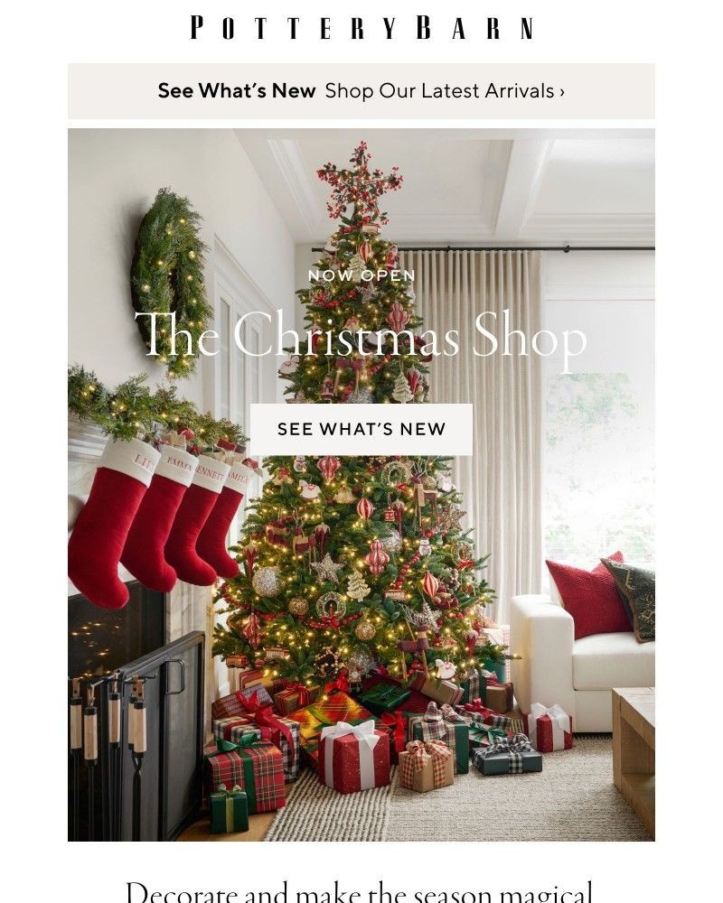 Screenshot of email with subject /media/emails/the-christmas-shop-see-whats-new-b80b52-cropped-1a488064.jpg
