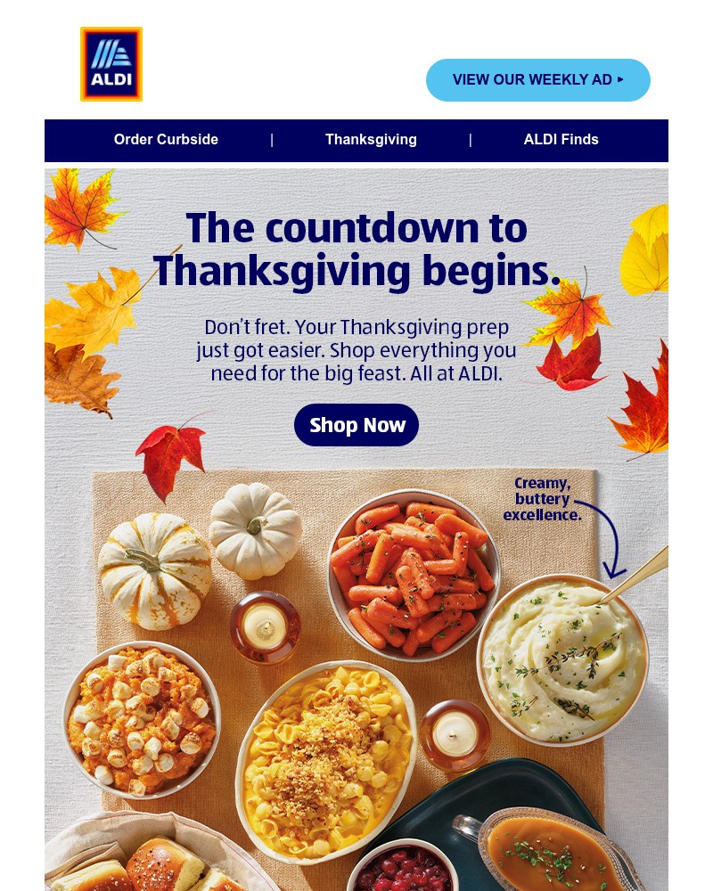 Screenshot of email sent to a Aldi Newsletter subscriber