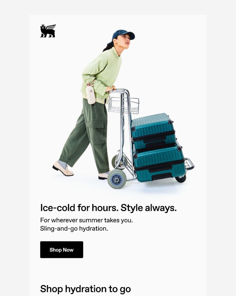 Screenshot of email with subject /media/emails/the-coldest-summer-accessory-97126a-cropped-1a5059e2.jpg