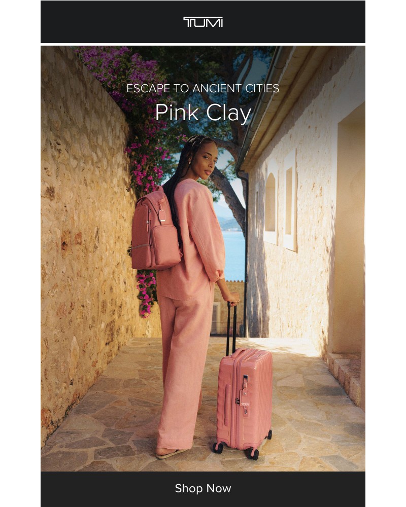 Screenshot of email with subject /media/emails/the-color-edit-pink-clay-bb9104-cropped-7cedca86.jpg