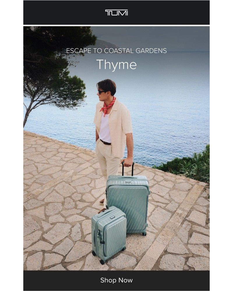 Screenshot of email with subject /media/emails/the-color-edit-thyme-328065-cropped-dea7ffe4.jpg