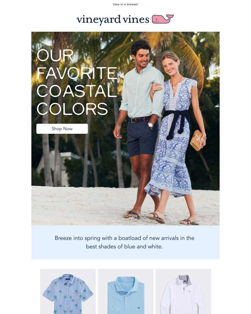 Screenshot of email with subject /media/emails/the-colors-you-need-for-spring-and-beyond-db7c21-cropped-2f6d3104.jpg