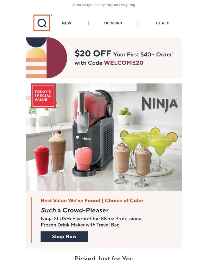 Screenshot of email with subject /media/emails/the-coolest-gift-ninja-slushi-get-20-off-8f4aba-cropped-e3f4161e.jpg