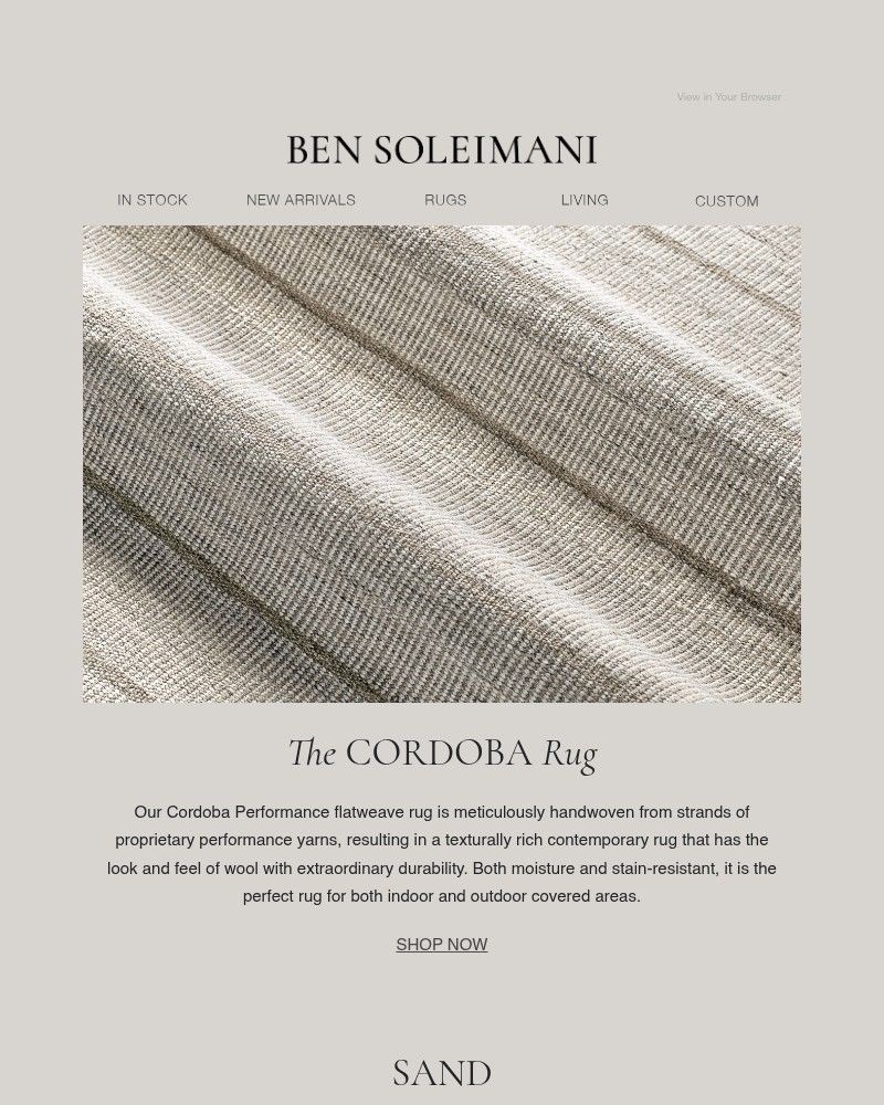 Screenshot of email with subject /media/emails/the-cordoba-indooroutdoor-rug-76dd13-cropped-4dd9d817.jpg