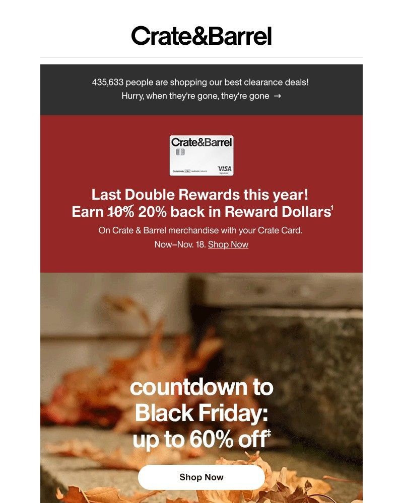 Screenshot of email with subject /media/emails/the-countdown-to-black-friday-starts-now-519204-cropped-9c7c9716.jpg