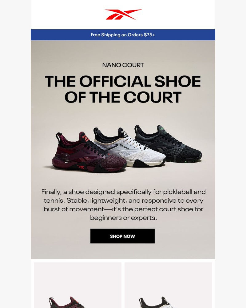 Screenshot of email with subject /media/emails/the-court-is-calling-02b7fb-cropped-896ce348.jpg