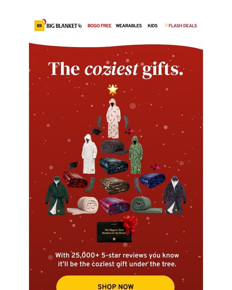 Screenshot of email with subject /media/emails/the-coziest-gifts-under-the-tree-b82d4e-cropped-baf22dc9.jpg