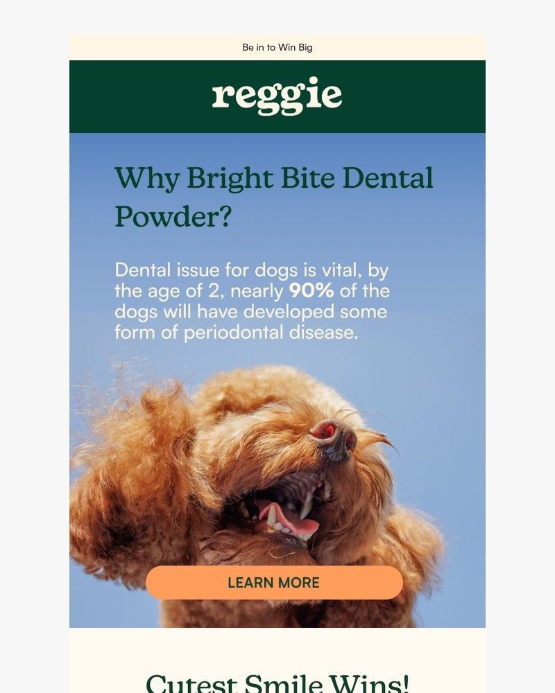 Screenshot of email sent to a reggie Newsletter subscriber