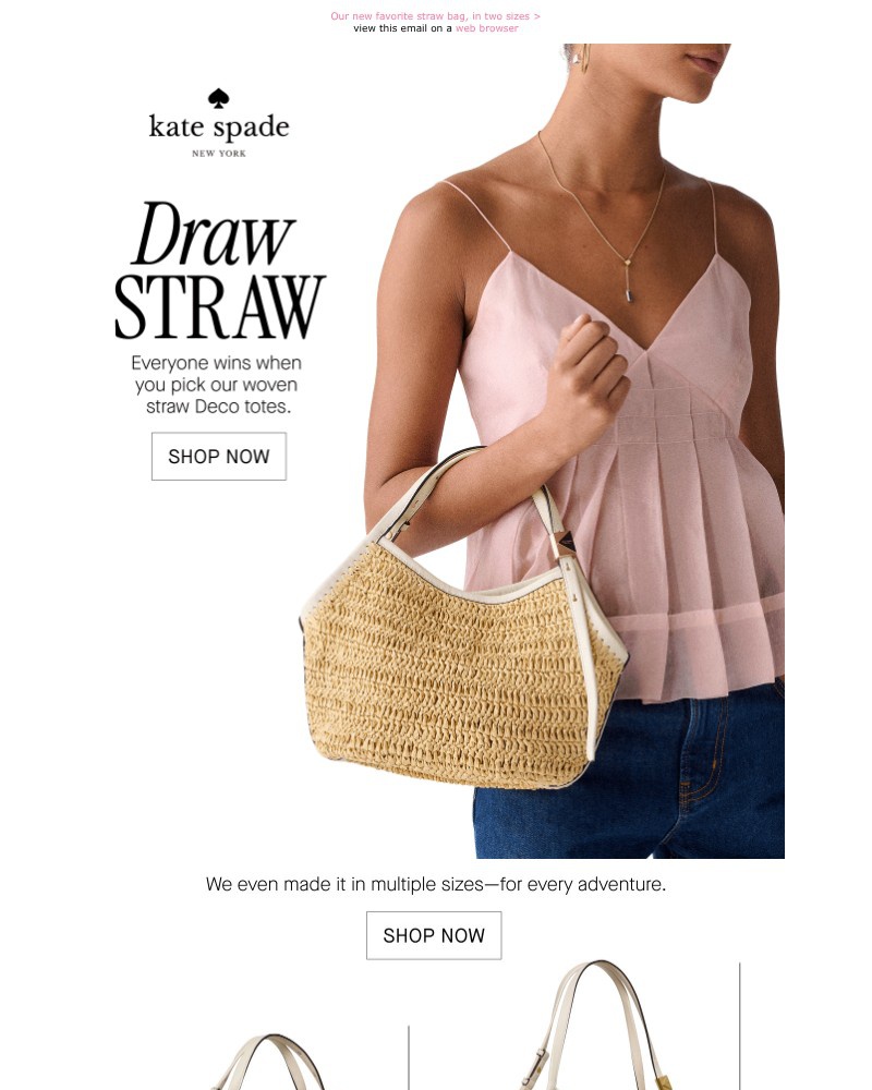 Screenshot of email with subject /media/emails/the-deco-totewith-a-spring-spin-2c631c-cropped-b835824d.jpg