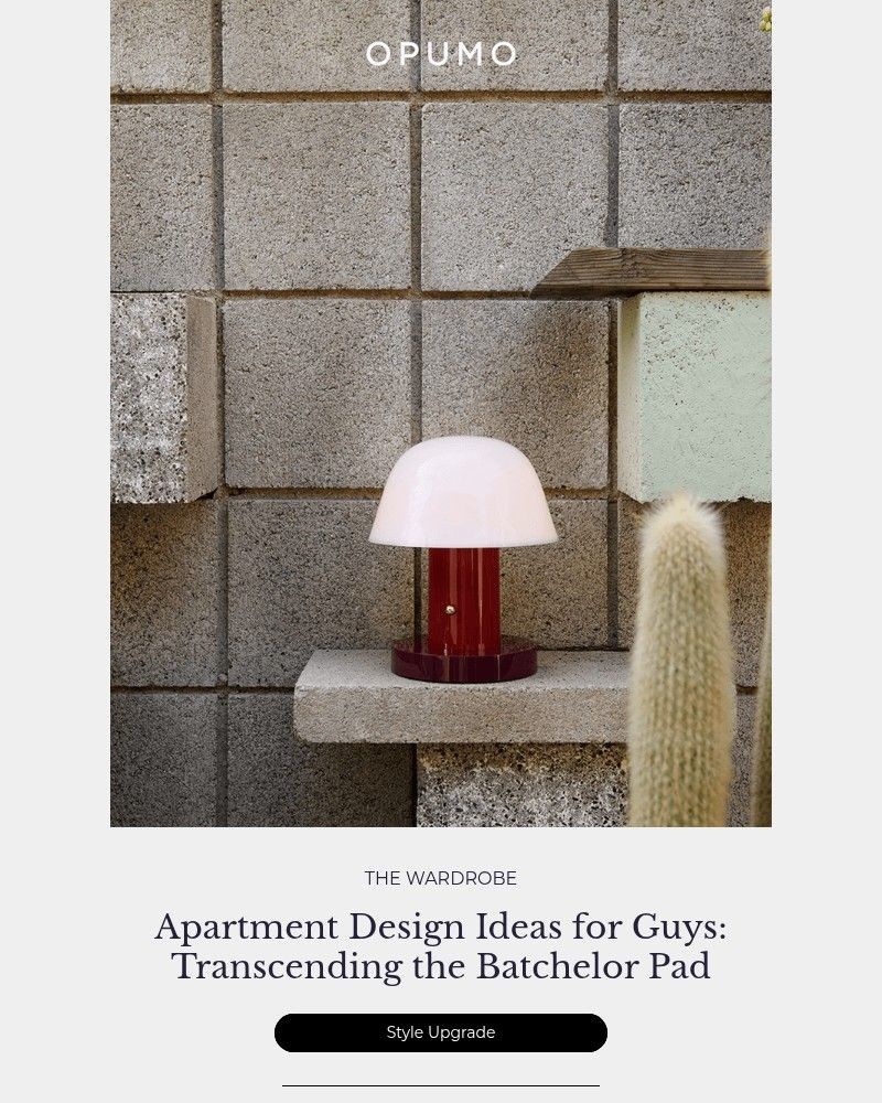 Screenshot of email with subject /media/emails/the-digest-design-beyond-the-bachelor-pad-3a1e71-cropped-e3348d1e.jpg
