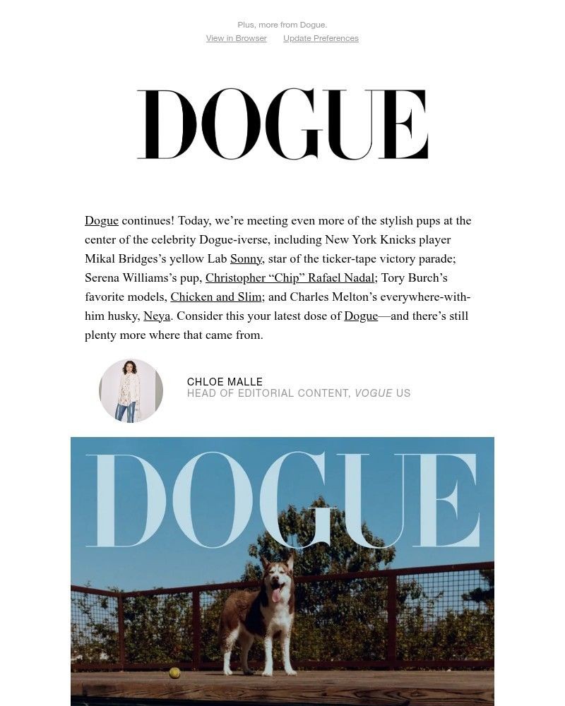 Screenshot of email with subject /media/emails/the-dogue-days-of-summer-are-upon-us-a90023-cropped-9d2afef7.jpg