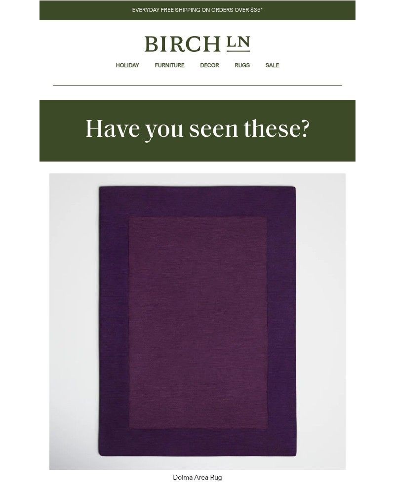 Screenshot of email with subject /media/emails/the-dolma-area-rug-shop-it-now-love-it-forever-fbed9a-cropped-f0931f1f.jpg