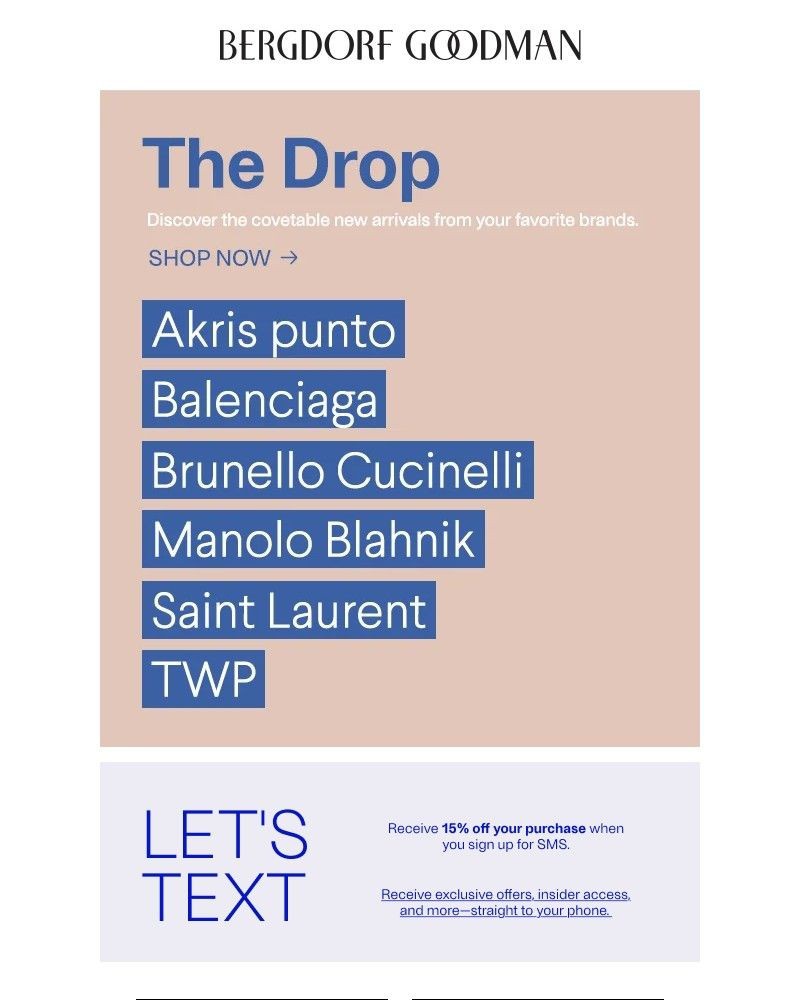 Screenshot of email with subject /media/emails/the-drop-new-arrivals-281664-cropped-8195001f.jpg