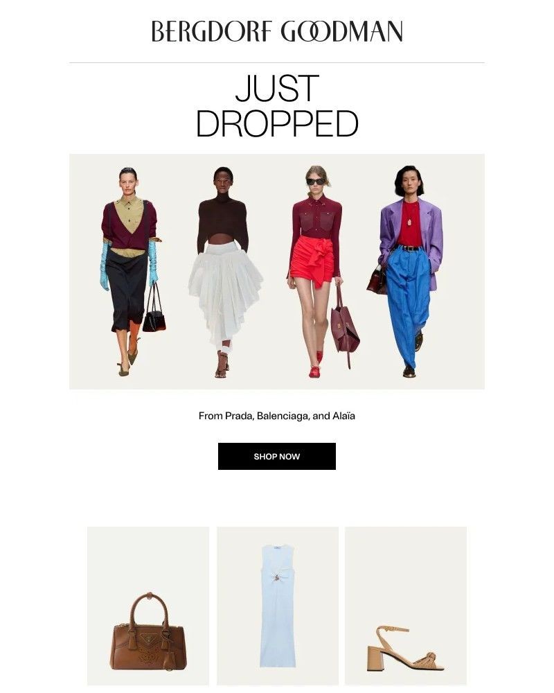 Screenshot of email with subject /media/emails/the-drop-new-arrivals-462716-cropped-a06476f3.jpg