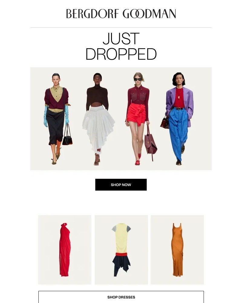 Screenshot of email with subject /media/emails/the-drop-new-arrivals-a4d952-cropped-8d9a2c71.jpg