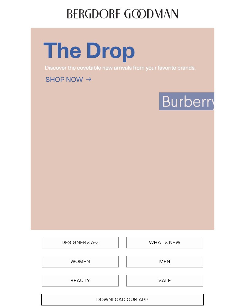 Screenshot of email with subject /media/emails/the-drop-new-arrivals-just-landed-2129c7-cropped-7d9f2e04.jpg