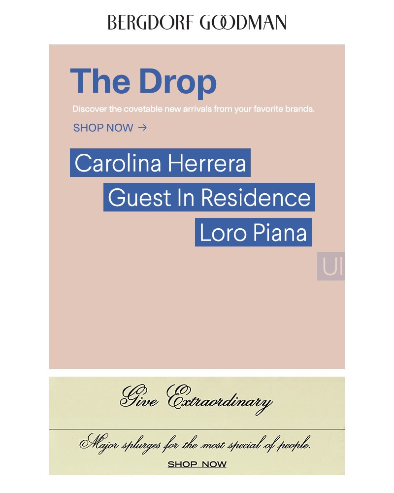 Screenshot of email with subject /media/emails/the-drop-new-arrivals-just-landed-9bb72b-cropped-613e856a.jpg