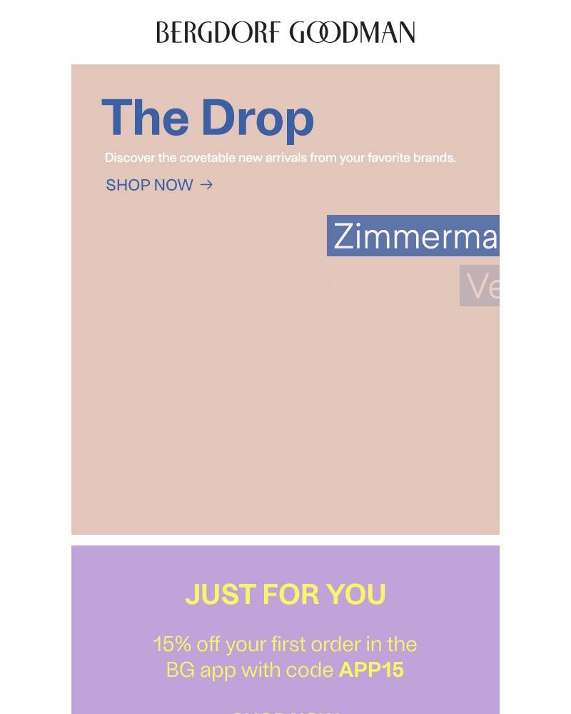 Screenshot of email with subject /media/emails/the-drop-new-arrivals-just-landed-c04dbe-cropped-bd497015.jpg