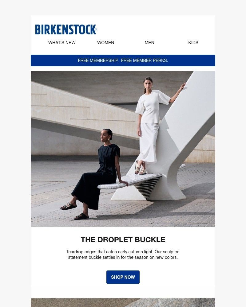 Screenshot of email with subject /media/emails/the-droplet-buckle-dips-into-fall-8b91ff-cropped-7c7268e5.jpg