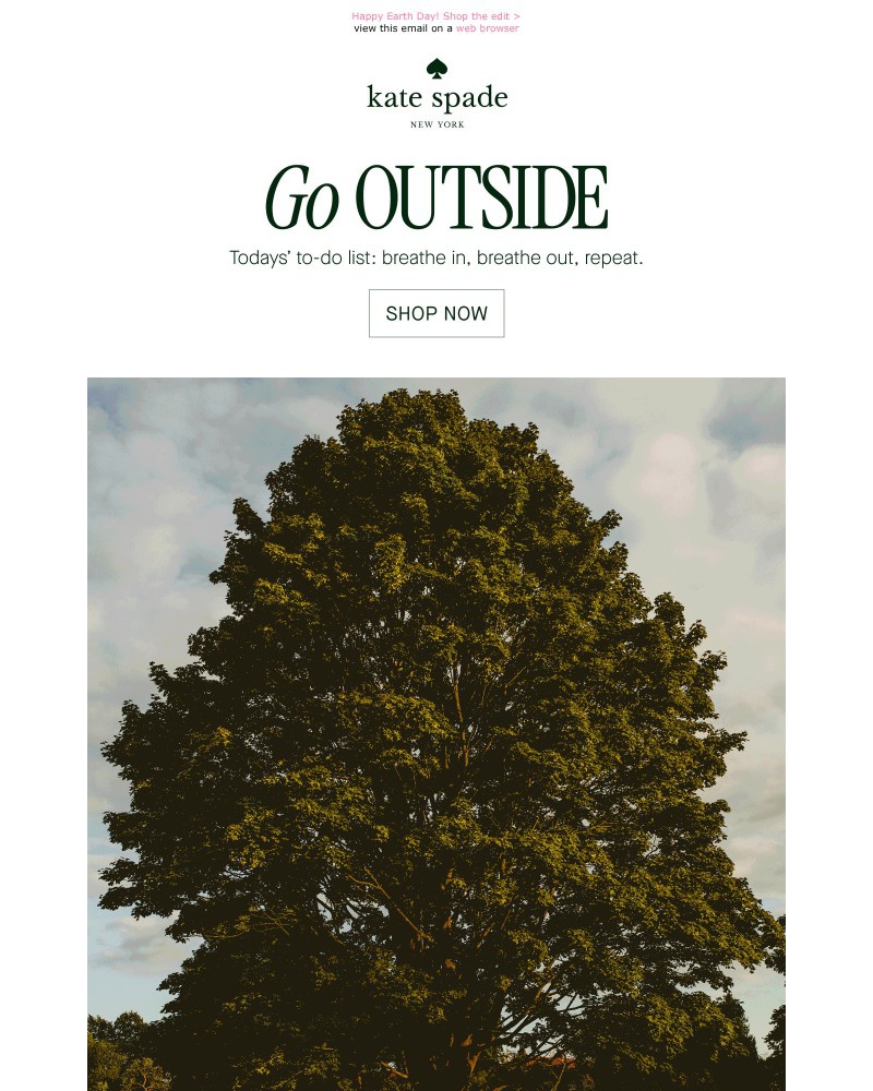 Screenshot of email sent to a Kate Spade Newsletter subscriber