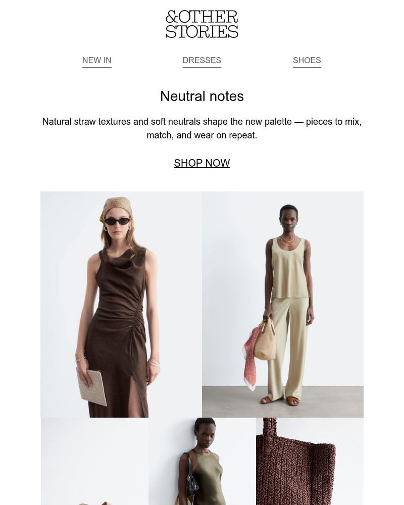 Screenshot of email with subject /media/emails/the-earthy-palette-9b5cb8-cropped-dcfc9189.jpg