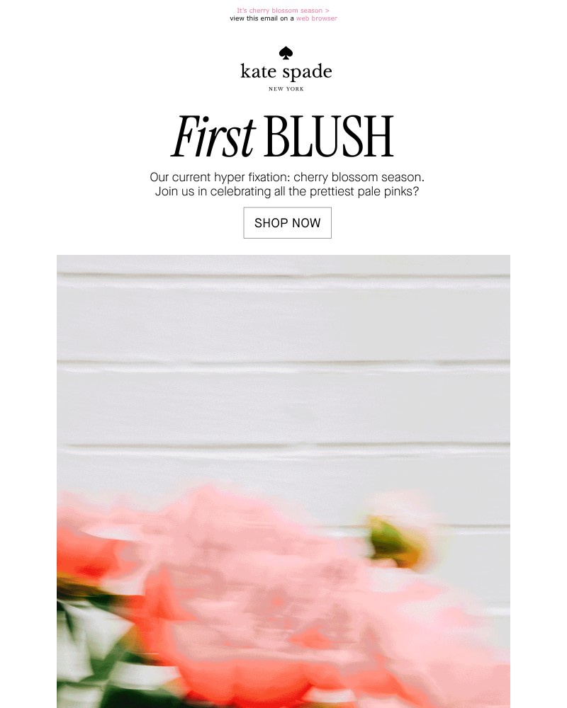 Screenshot of email with subject /media/emails/the-edit-fc1317-cropped-e2f5ce6a.jpg