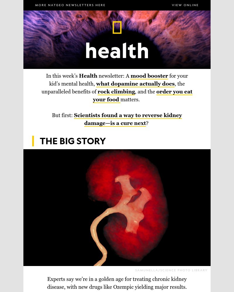 Screenshot of email sent to a National Geographic Newsletter subscriber