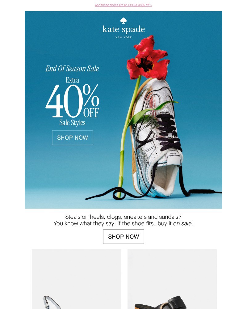 Screenshot of email with subject /media/emails/the-end-of-season-sale-is-on-164ee3-cropped-8834dc55.jpg
