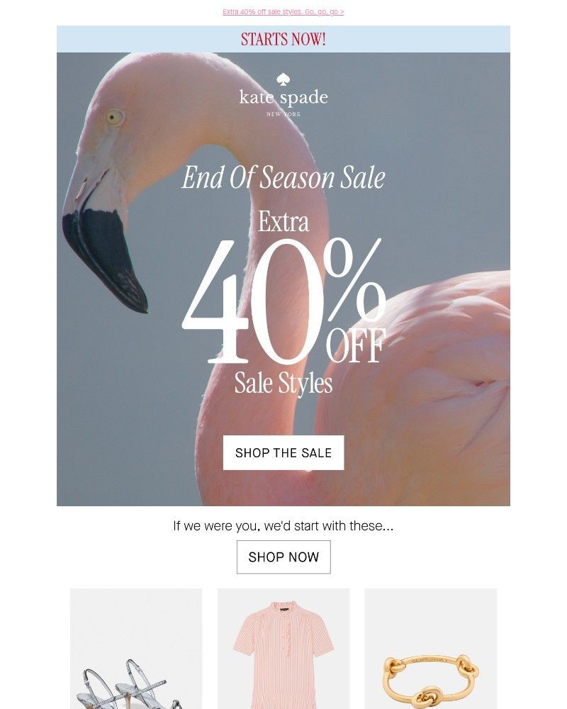 Screenshot of email with subject /media/emails/the-end-of-season-sale-starts-now-3a15ad-cropped-721b90f2.jpg