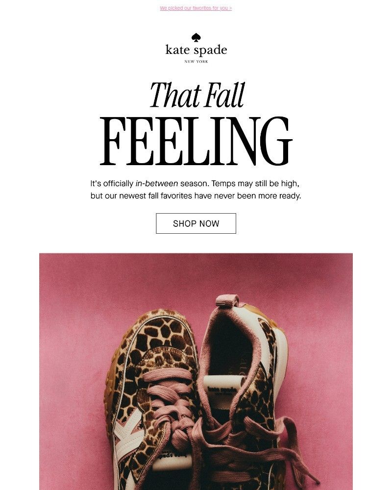 Screenshot of email sent to a Kate Spade Newsletter subscriber