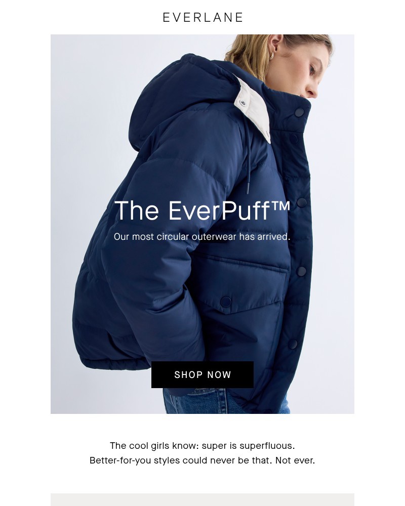 Screenshot of email with subject /media/emails/the-everpufftm-c9b579-cropped-4f8dbf97.jpg