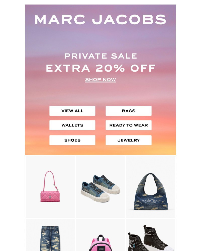 Screenshot of email with subject /media/emails/the-extra-20-off-sale-continues-dont-miss-out-e0ecda-cropped-1228374c.jpg