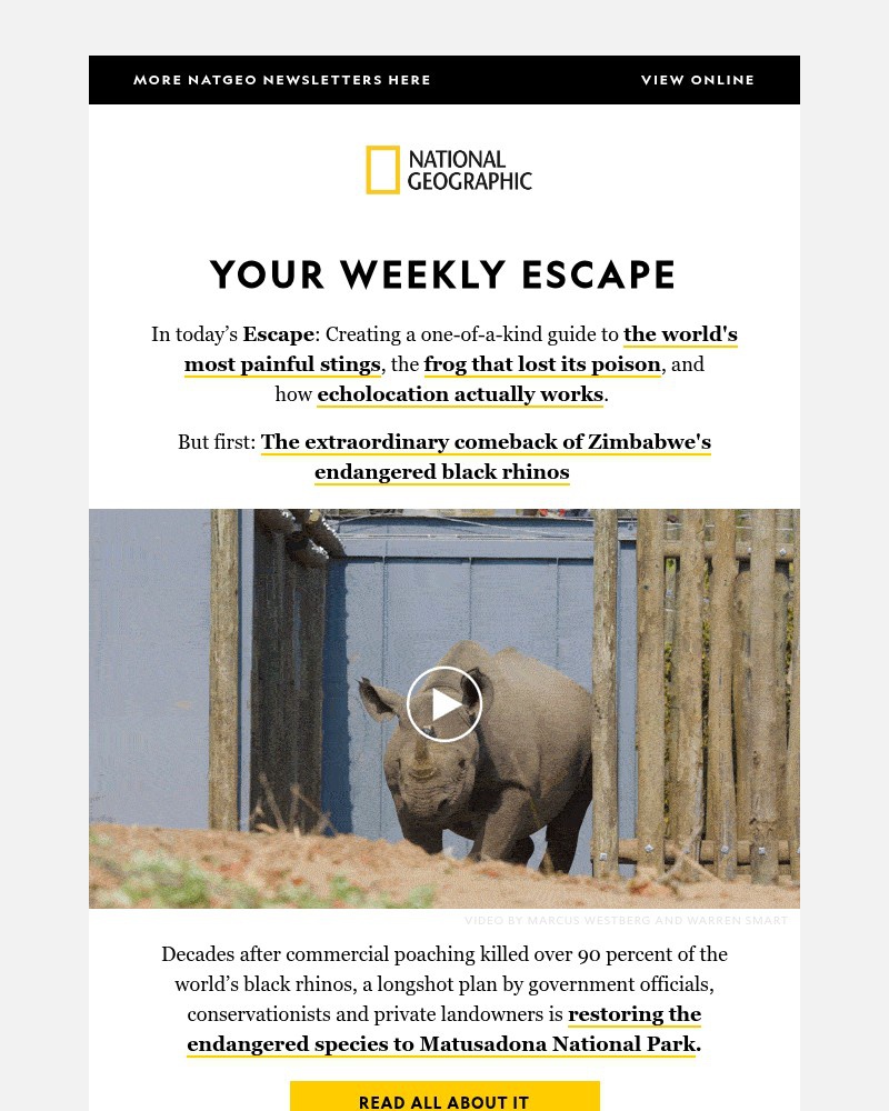 Screenshot of email sent to a National Geographic Newsletter subscriber