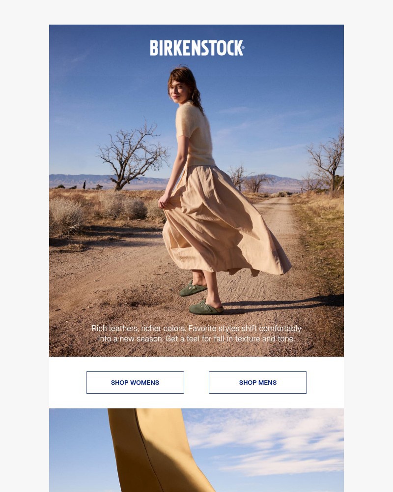 Screenshot of email with subject /media/emails/the-fall-collection-84daf5-cropped-c7e00d90.jpg