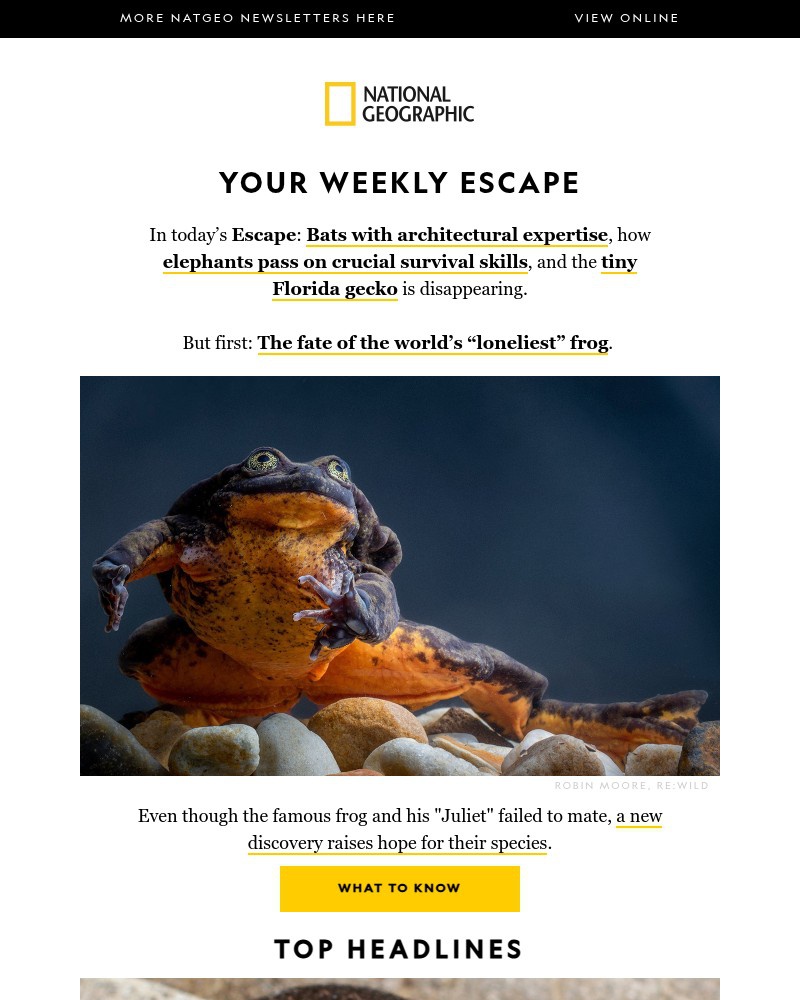 Screenshot of email sent to a National Geographic Newsletter subscriber