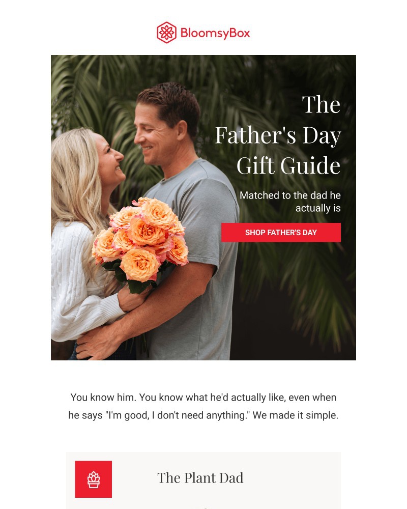 Screenshot of email with subject /media/emails/the-fathers-day-gift-guide-by-dad-type-8d9b4c-cropped-af37aaf2.jpg