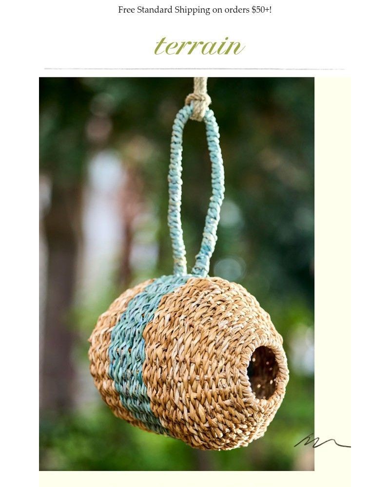 Screenshot of email sent to a Terrain Newsletter subscriber